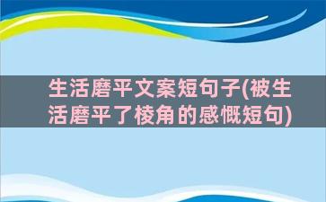 生活磨平文案短句子(被生活磨平了棱角的感慨短句)