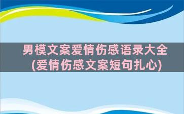 男模文案爱情伤感语录大全(爱情伤感文案短句扎心)