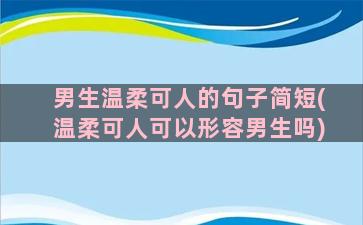 男生温柔可人的句子简短(温柔可人可以形容男生吗)