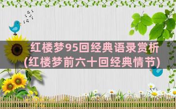 红楼梦95回经典语录赏析(红楼梦前六十回经典情节)