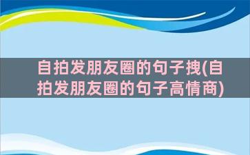 自拍发朋友圈的句子拽(自拍发朋友圈的句子高情商)