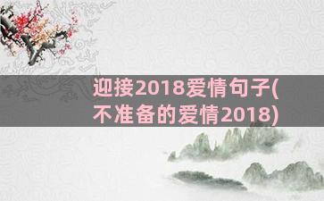 迎接2018爱情句子(不准备的爱情2018)