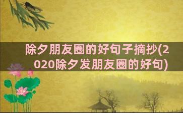 除夕朋友圈的好句子摘抄(2020除夕发朋友圈的好句)