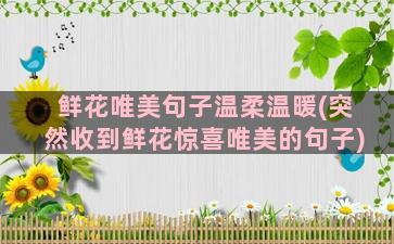 鲜花唯美句子温柔温暖(突然收到鲜花惊喜唯美的句子)