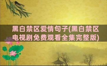 黑白禁区爱情句子(黑白禁区电视剧免费观看全集完整版)